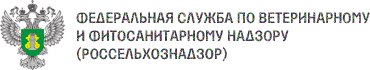 Федеральные службы